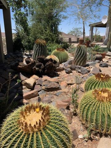3 Aloes Guesthouse Uis Exterior foto